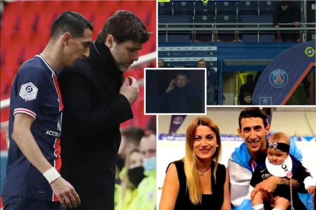 半岛体育官网-王勤伯：迪马利亚雇了保安，怎就防不住巴黎的贼？